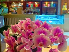 -上海明天广场JW万豪酒店