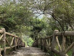 -青龙山国家森林公园
