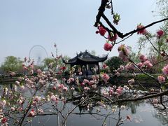 -无锡蠡湖国家湿地公园-蠡园