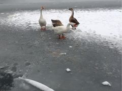 iphone_upload_pic-郭守敬纪念馆