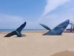 -烟台金沙滩海滨公园