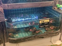 -阿娘家·原生态农家菜(国顺东路店)