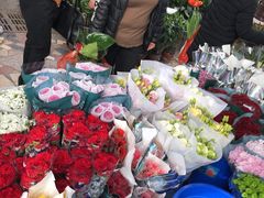 -秦美花卉(天朗·莱茵小城2期店)