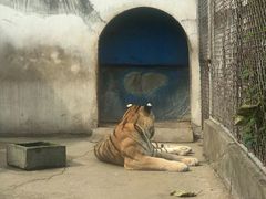 -南昌动物园