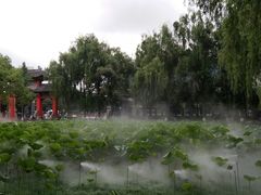-四川大学(望江校区)