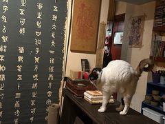 -江湖边·小生活