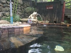 -天明山温泉大酒店