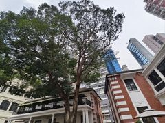 -大馆(前中区警署建築群)