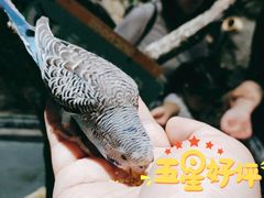 -zoonana室内动物园(东方福来德店)