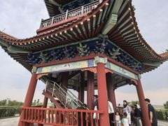 -南大港湿地风景区