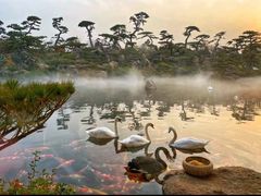 -罗红摄影艺术馆