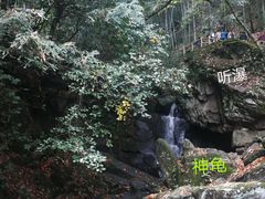 -藏龙百瀑风景区