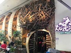 -大灰狼(中心书城店)