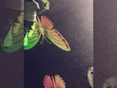 -锦江乐园舞狸花花游园会(夜场专享)