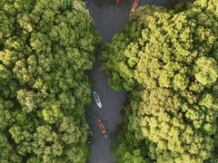 -动邦皮划艇·桨板·独木舟·团建户外运动俱乐部