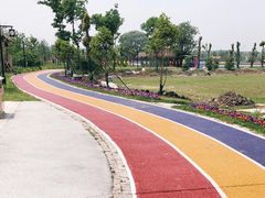 -溱湖国家湿地公园