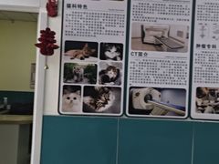 -乖乖宠物医院·猫科·急重症中心(车站北路分院)