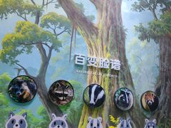 -海合安成都极地海洋公园
