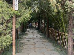 -洛阳白马寺