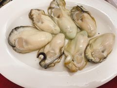 -花苑美食横琴生蚝火锅(拱北粤华路店)