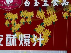 -白玉兰食品(甜云店)