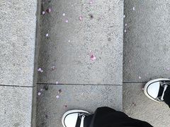 -桃花岭景区