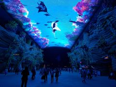 -帝企鹅自助餐厅•儿童岛•真企鹅(长隆企鹅酒店)