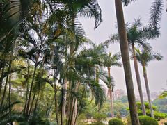 -荔香公园