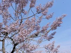 -苏州上方山国家森林公园