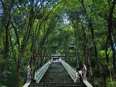 -成都老君山