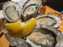 -Osteria Garden 生蚝花园餐厅(原进贤路店)