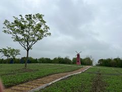 -同里国家湿地公园