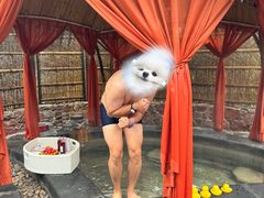 -扬州瘦西湖温泉