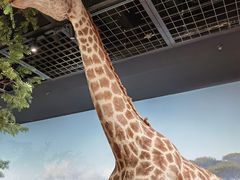 -陕西自然博物馆