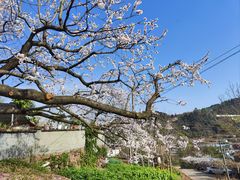 -玫瑰庄园·自助烧烤·烤全羊·团建拓展(龙泉山店)