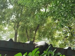 -滇釜火锅·能喝汤的火锅(车公庄店)