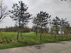 -汉长安城未央宫国家考古遗址公园