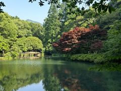 -老山国家森林公园