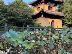 -慧因高丽寺