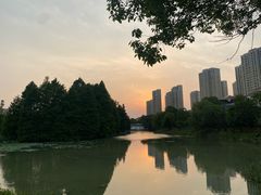 -白塘生态植物园