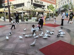 -中粮·祥云小镇