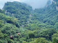 -牛背梁国家森林公园
