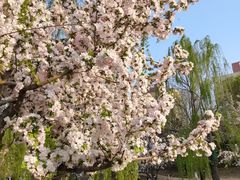 -元大都城垣遗址公园