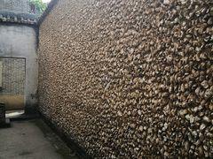 -碧江金楼