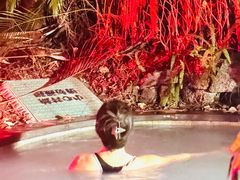 -碧桂园润杨溪谷温泉酒店