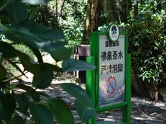 -莫里热带雨林景区