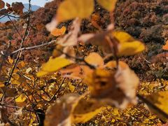 -幽岚山·童话森林