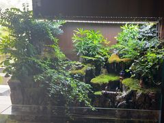 -雅苑中餐厅