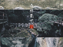 -牛背梁国家森林公园