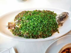 烧椒鲈鱼-尘香•传统川菜(创汇首座店)